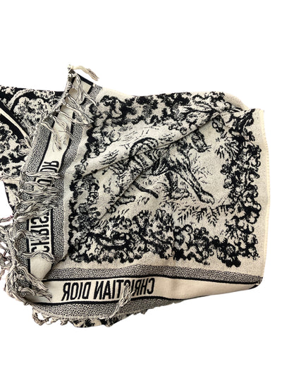 Dior blue and white Poncho