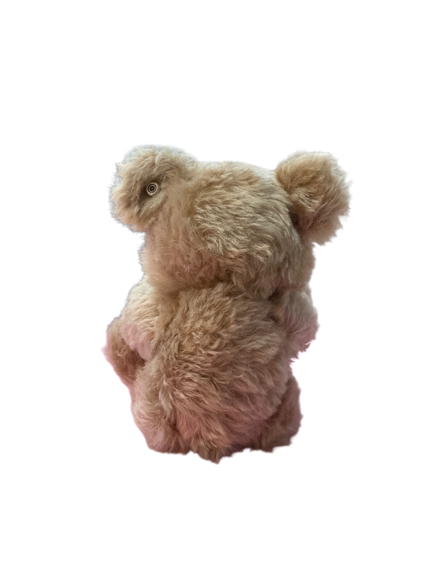 Tiffany tan Stuffed Animal
